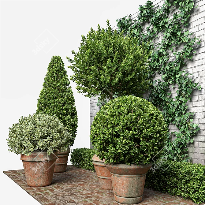 Natural Greenery Set: Boxwood, Dogwood, Ivy 3D model image 3