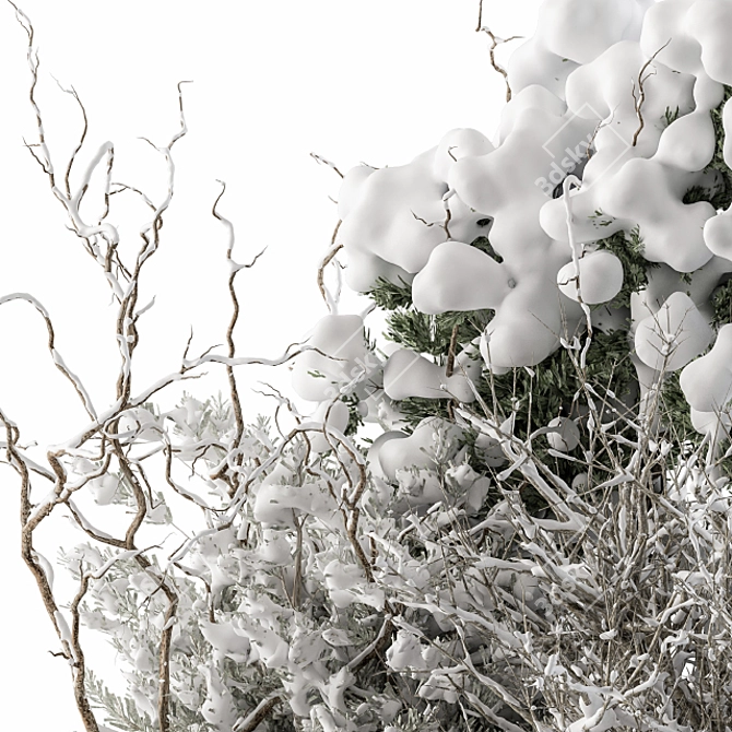 Snowy Dried Plant Bush - Set of 60 3D model image 2