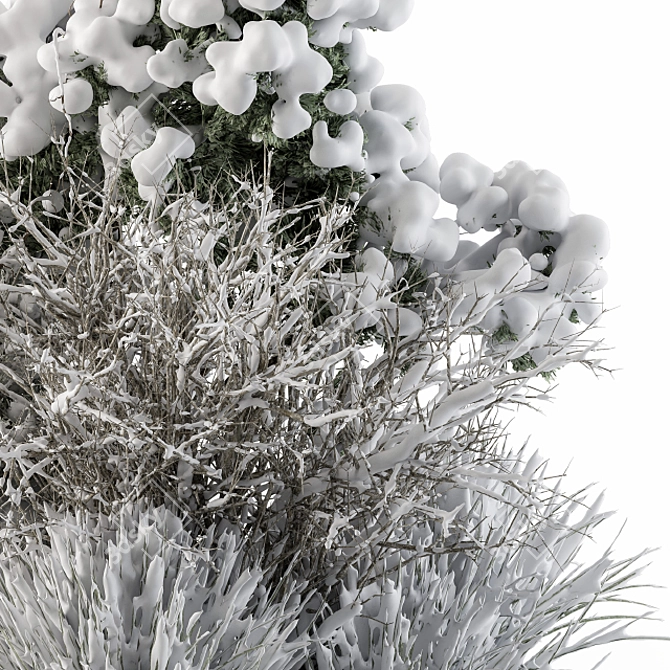 Snowy Dried Plant Bush - Set of 60 3D model image 4