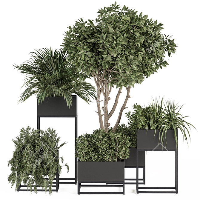 Stylish Black Box Plant Set 3D model image 1