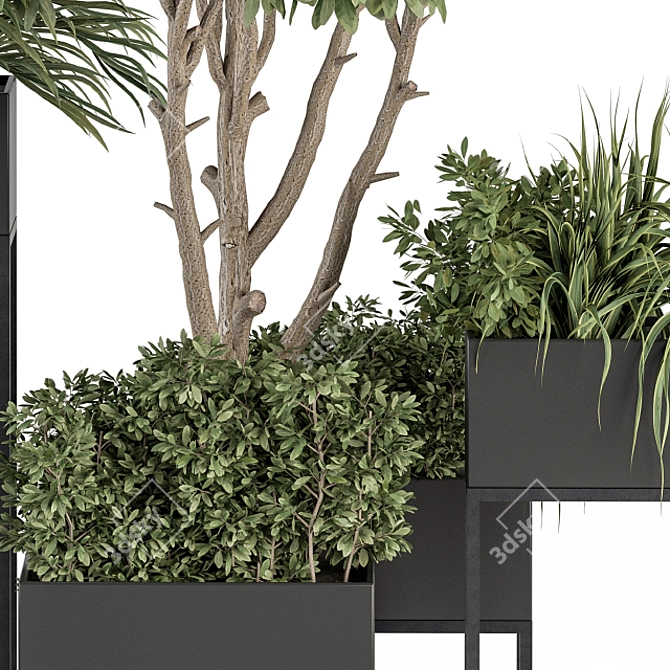 Stylish Black Box Plant Set 3D model image 4