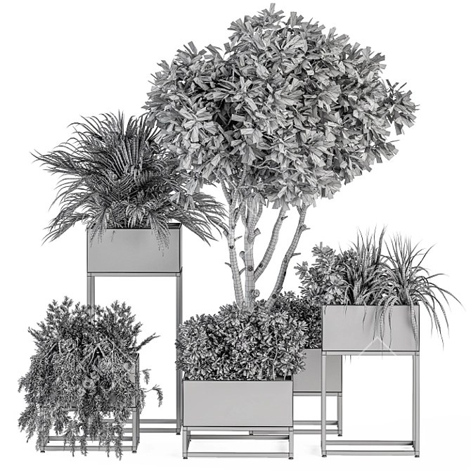 Stylish Black Box Plant Set 3D model image 5