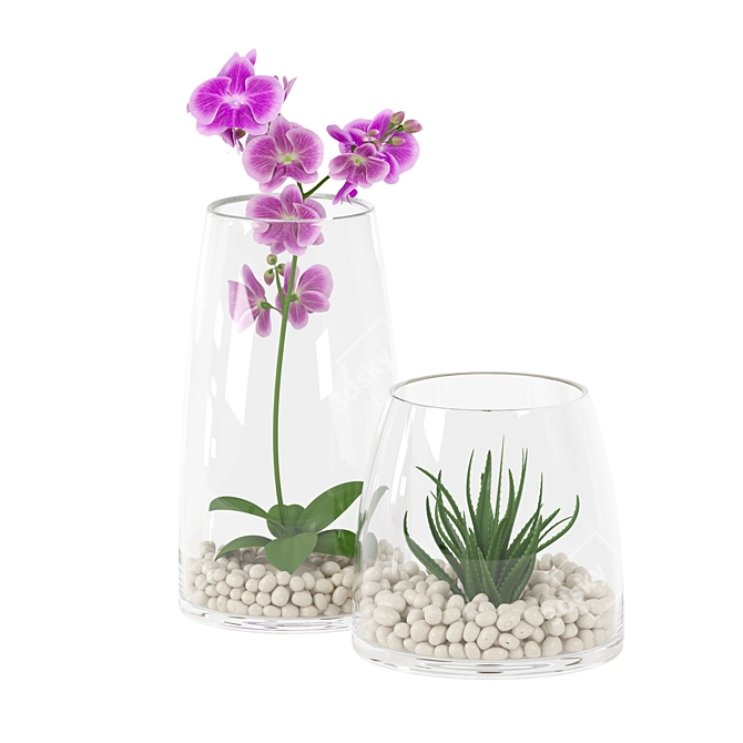 Elegant Orchid in Glass Pot 3D model image 1