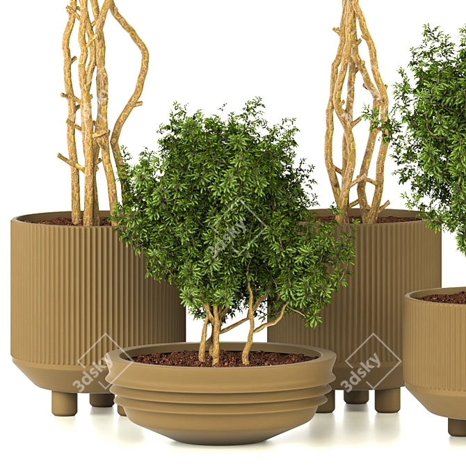 Modern Indoor Plant Vol. 28 3D model image 2