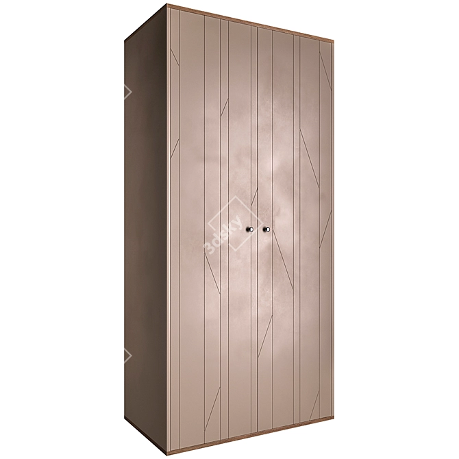 IDEA TW211 Wardrobe: Sleek, Spacious, and Stylish 3D model image 1