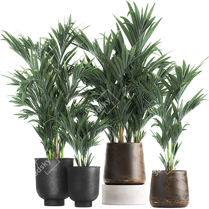 Exotic Plant Collection: Indoor & Outdoor Decor 3D model image 1