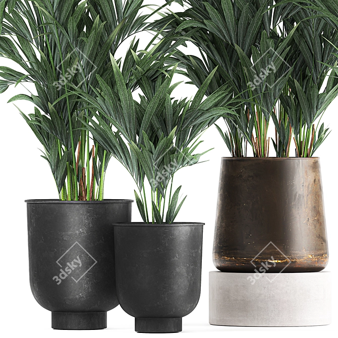 Exotic Plant Collection: Indoor & Outdoor Decor 3D model image 2