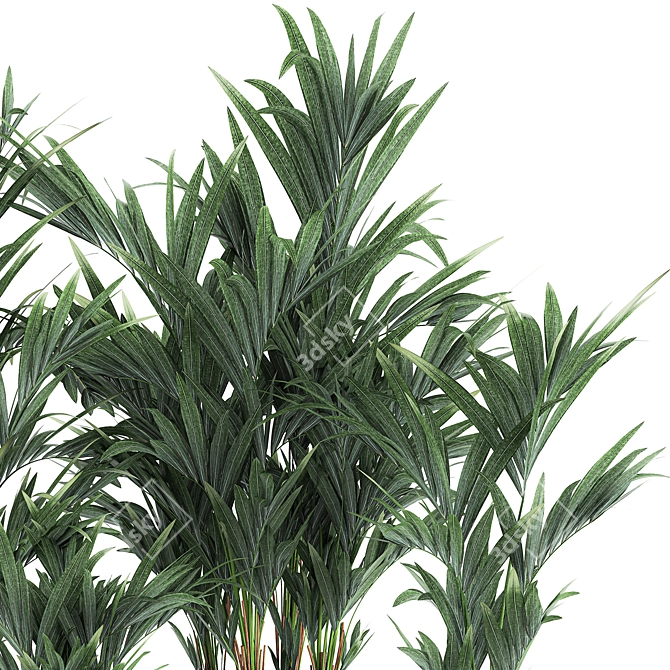 Exotic Plant Collection: Indoor & Outdoor Decor 3D model image 3