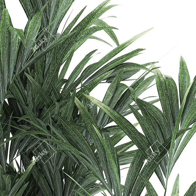 Exotic Plant Collection: Indoor & Outdoor Decor 3D model image 5