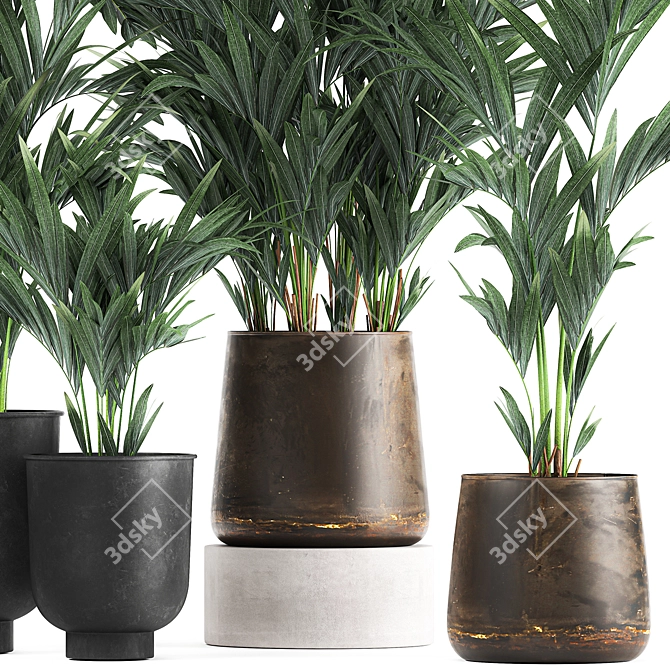 Exotic Plant Collection: Indoor & Outdoor Decor 3D model image 6