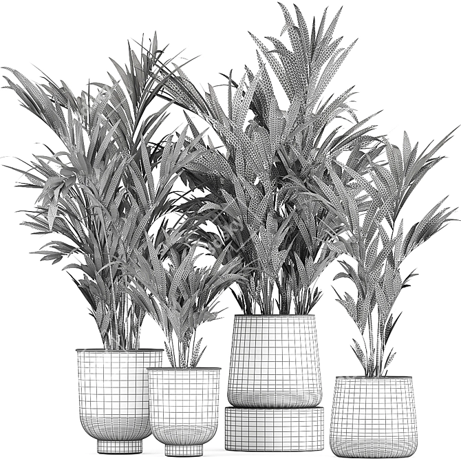 Exotic Plant Collection: Indoor & Outdoor Decor 3D model image 7
