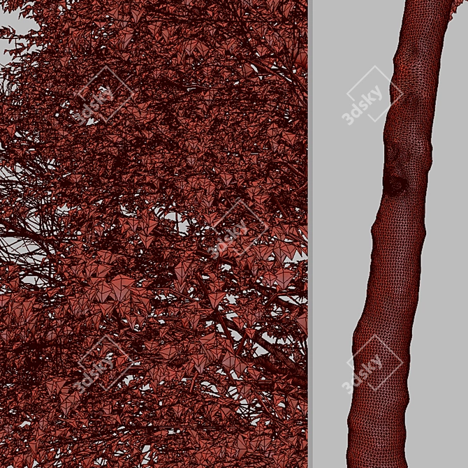 Texas Ash Tree Set (2 Trees) - Nature's Delight 3D model image 7