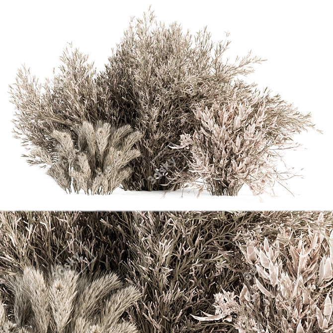 Serene Pampas: Dried Bush Set 3D model image 1