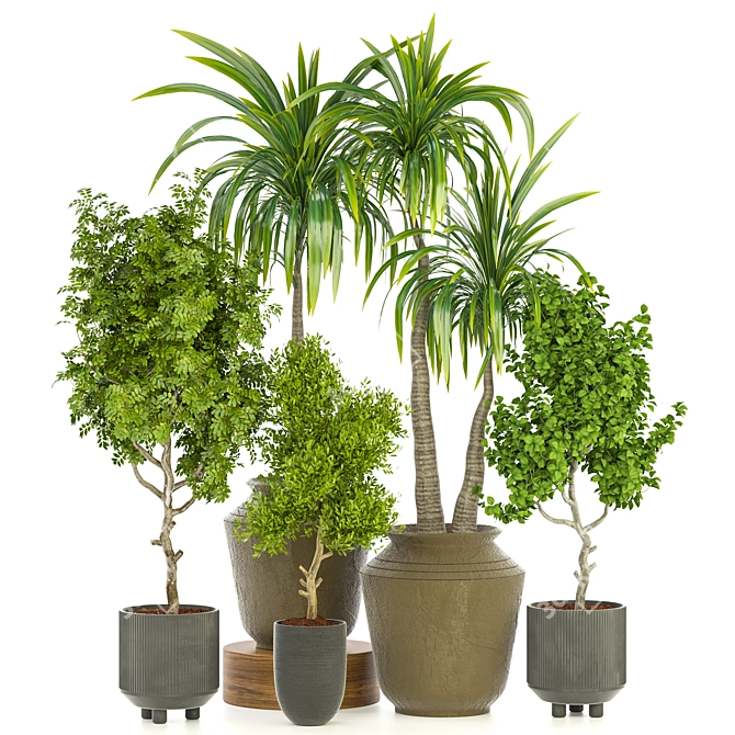 3D Indoor Plant Vol 29: Realistic Greenery 3D model image 1