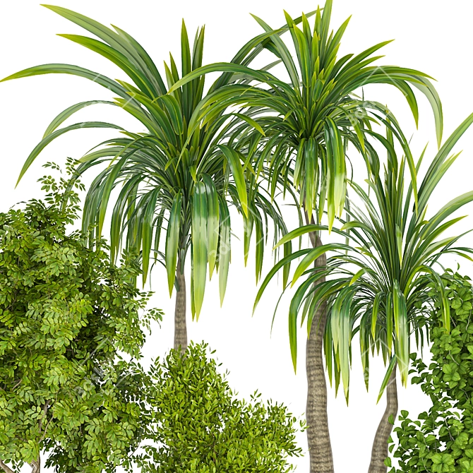 3D Indoor Plant Vol 29: Realistic Greenery 3D model image 3