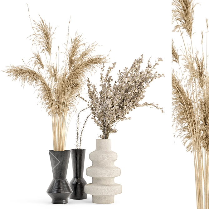 Everlasting Beauty: Dry Plants Bouquet Collection 3D model image 1