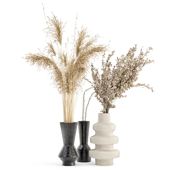 Everlasting Beauty: Dry Plants Bouquet Collection 3D model image 5