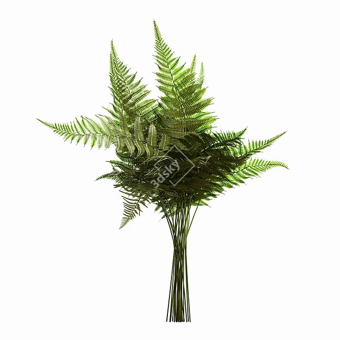 Autumn Fern Green Artificial Bouquet 3D model image 4