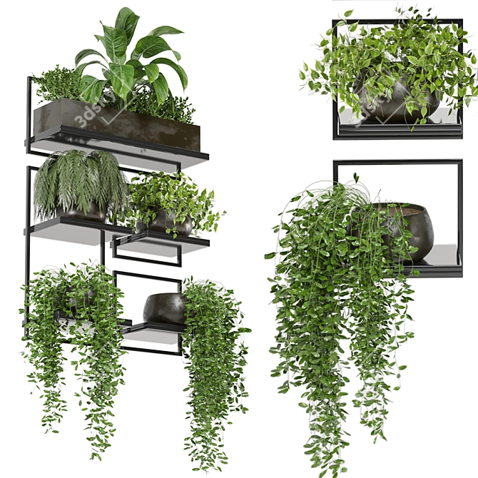 Rustic Indoor Plant Set 173 3D model image 1