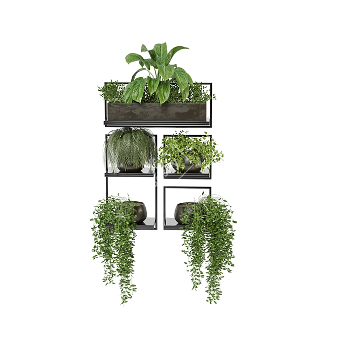 Rustic Indoor Plant Set 173 3D model image 5