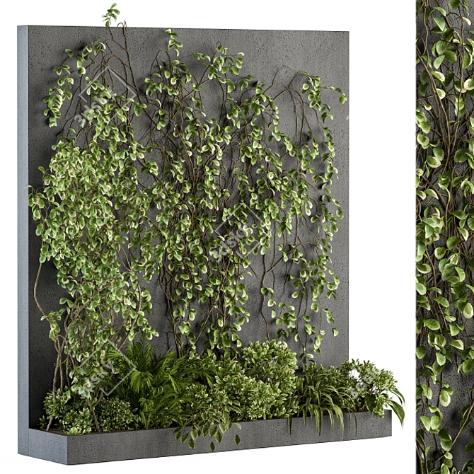 Evergreen Wall - Outdoor Vertical Garden 3D model image 1
