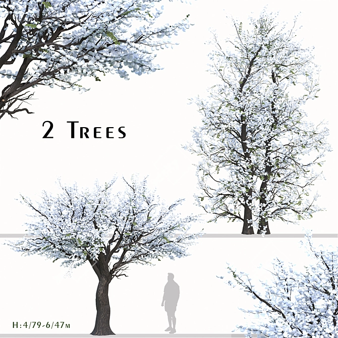 Chanticleer Trees: Elegant Pair for Your Landscape 3D model image 1