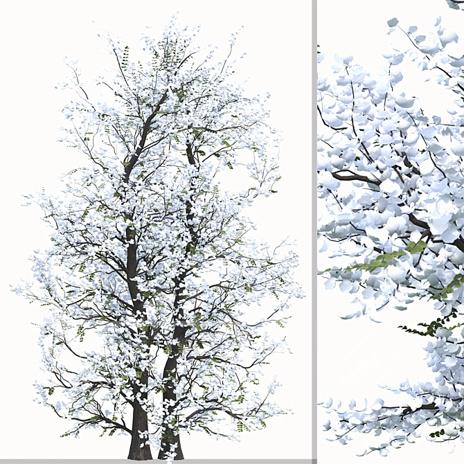 Chanticleer Trees: Elegant Pair for Your Landscape 3D model image 3