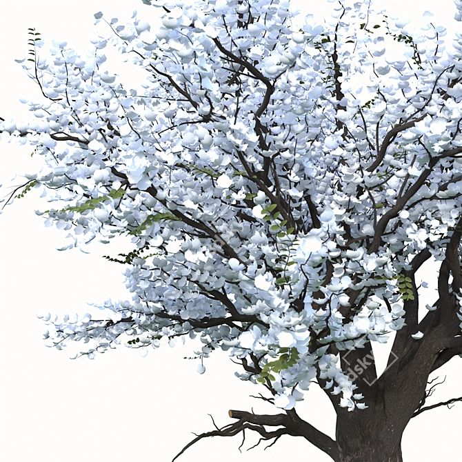 Chanticleer Trees: Elegant Pair for Your Landscape 3D model image 4