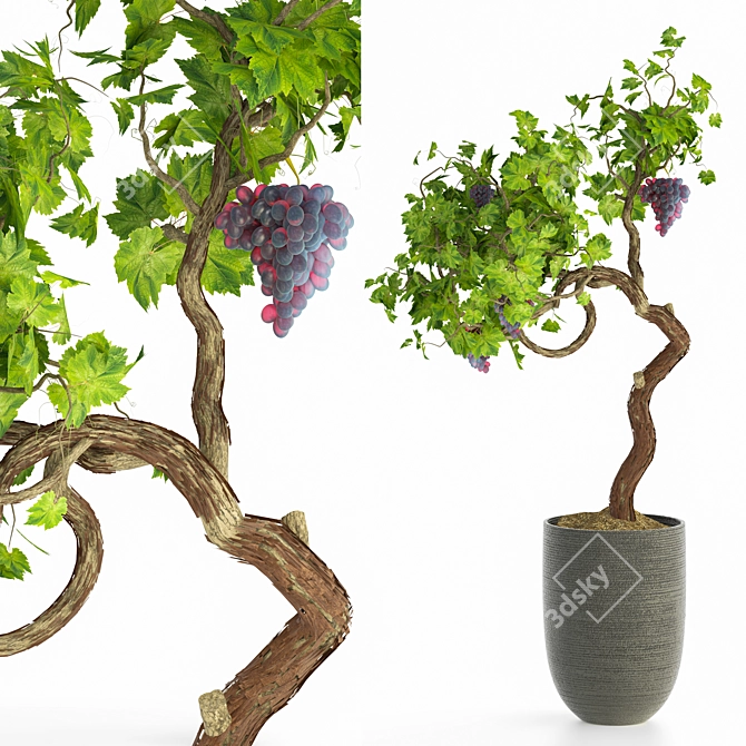 Modern Grapevine Sculpture: 2015 Edition 3D model image 1