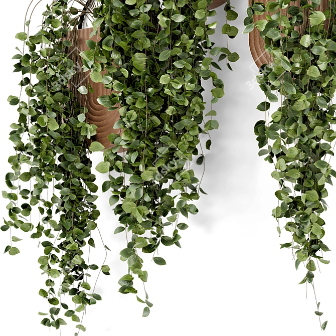 Modern Hanging Plants in Sleek Concrete Pot 3D model image 4