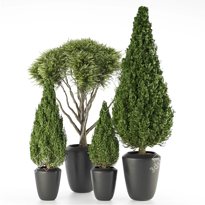 Outdoor Plant Vol 30: High-quality 3D Model 3D model image 1