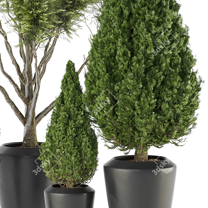 Outdoor Plant Vol 30: High-quality 3D Model 3D model image 2