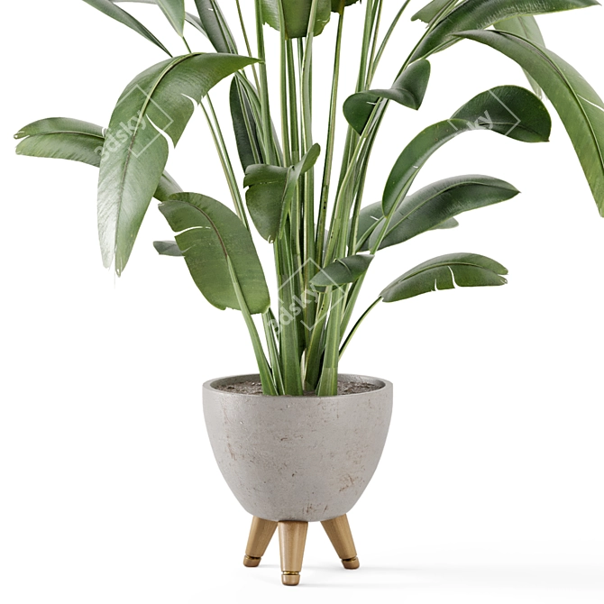 Rusty Concrete Pot Indoor Plants - Set 405 3D model image 3