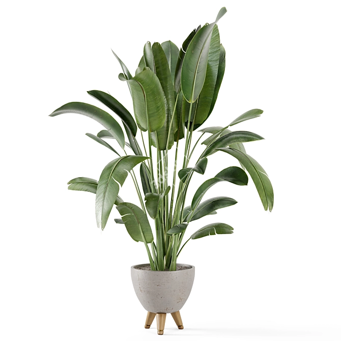 Rusty Concrete Pot Indoor Plants - Set 405 3D model image 5