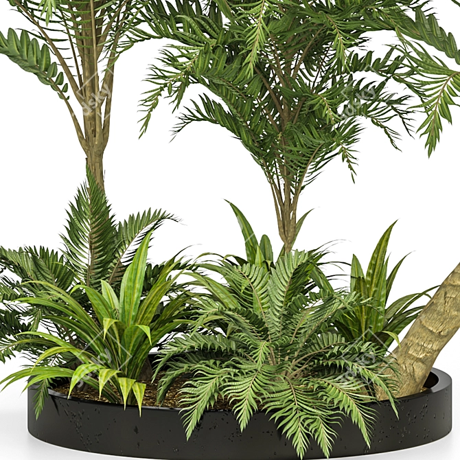 Tropical Garden Set Vol31: Exotic Oasis 3D model image 2