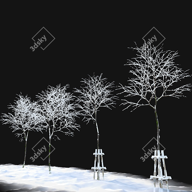 Winter Wonderland: Norway Maple Tree 3D model image 3