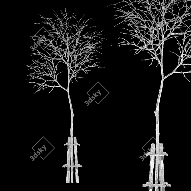 Winter Wonderland: Norway Maple Tree 3D model image 5