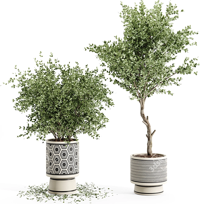 Exquisite Indoor Plant Collection 3D model image 5