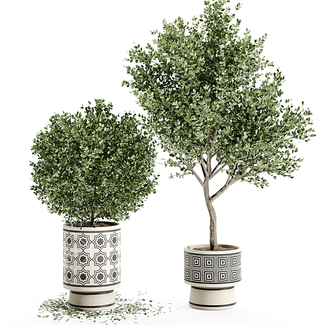 Exquisite Indoor Plant Collection 3D model image 6