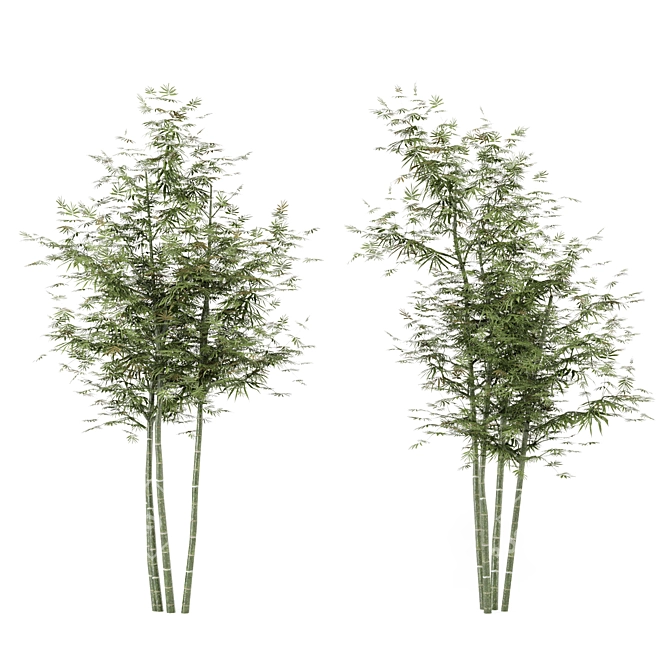 Rustic Charm: Set of Four Outdoor Bamboo Trees 3D model image 4