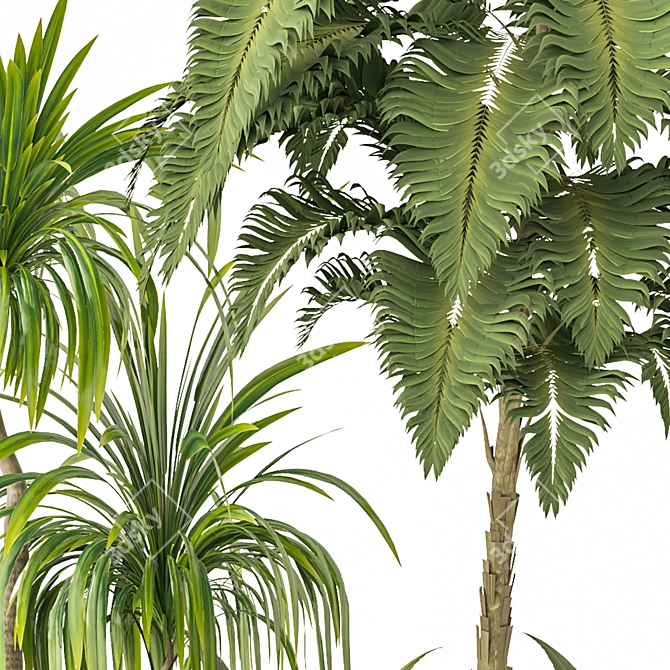 Tropical Garden Set 2015 3D model image 3