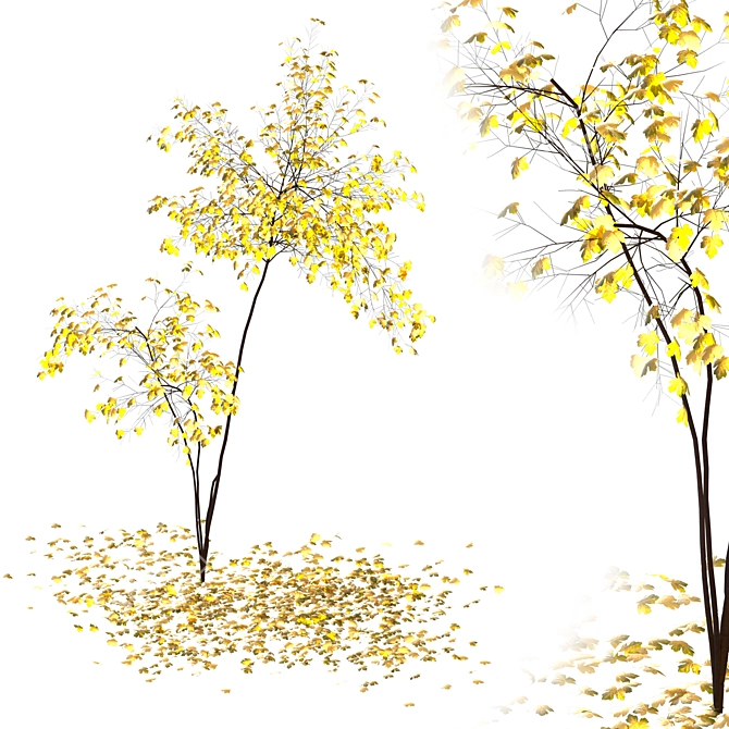 Acer Fall 02: Stunning Landscaping Solution 3D model image 2