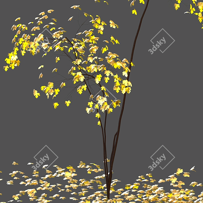 Acer Fall 02: Stunning Landscaping Solution 3D model image 3