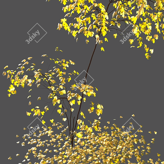 Acer Fall 02: Stunning Landscaping Solution 3D model image 5