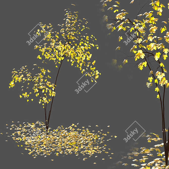 Acer Fall 02: Stunning Landscaping Solution 3D model image 7