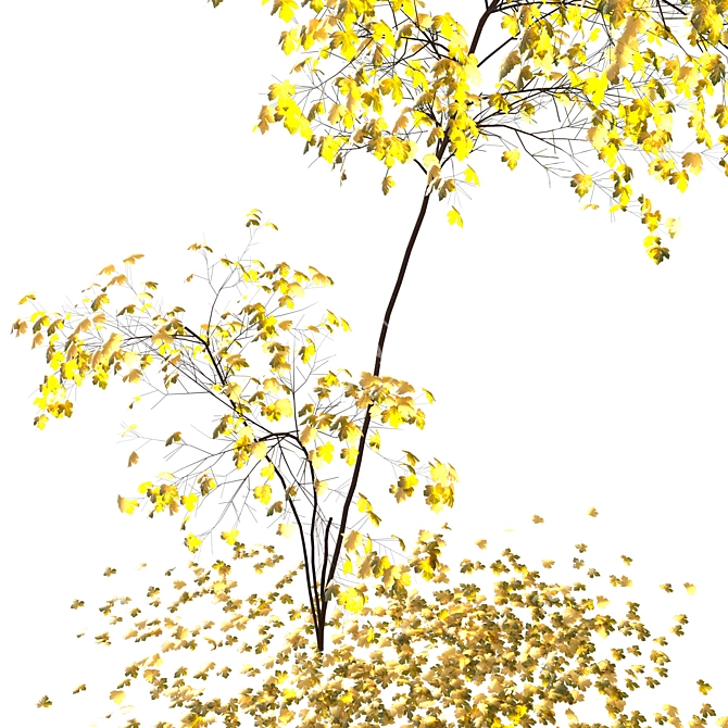 Acer Fall 02: Stunning Landscaping Solution 3D model image 11