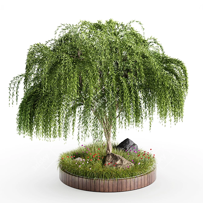 Title: Weeping Willow Tree - Outdoor Garden Design 3D model image 1