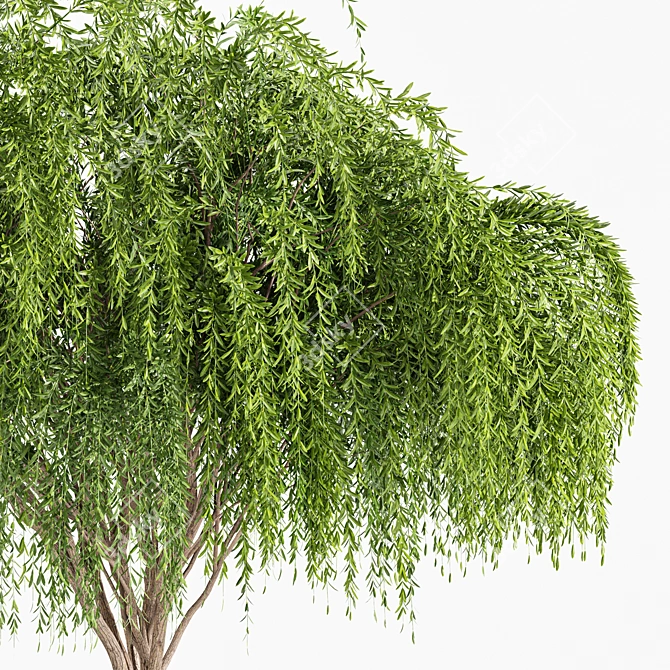 Title: Weeping Willow Tree - Outdoor Garden Design 3D model image 3