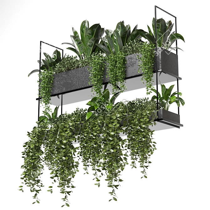 Metal Box Hanging Plants - Set 179 3D model image 3