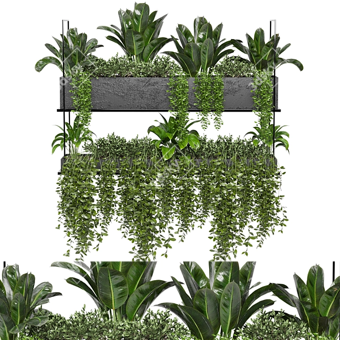 Metal Box Hanging Plants - Set 179 3D model image 4